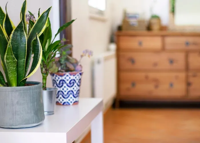 Casa Oceano-mar A Vista *